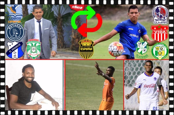 Rumores/Fichajes: Amado dirigiría en el extranjero, Marathón ficha otro jugador