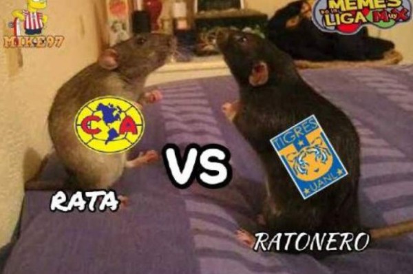 Los divertidos memes que dejó la final Tigres-América en México