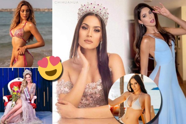 Miss Universo 2021: hora, canal y las cinco modelos favoritas para llevarse la soñada corona