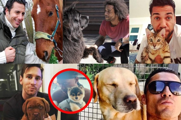 Caso Sturridge: Los futbolistas y su amor a las mascotas; perros, gatos y hasta un cerdito