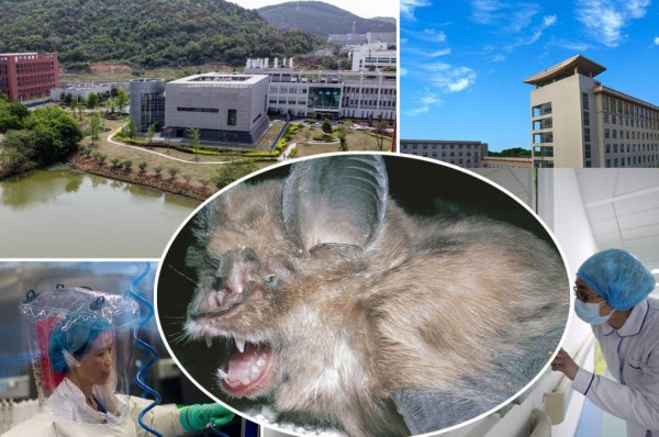 Como película de terror: El laboratorio que dejó escapar el coronavirus ¿cómo arma biológica?