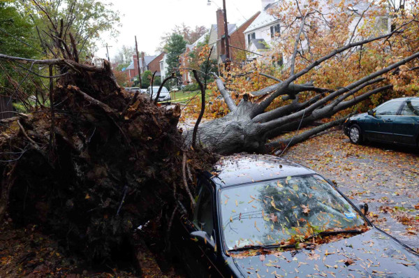 Tormenta Sandy afecta deporte en Estados Unidos