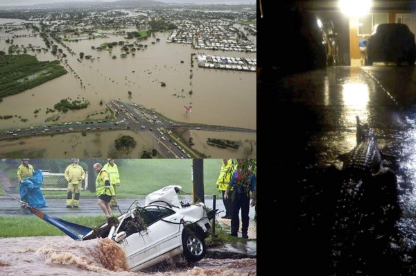 Cocodrilos en las calles: Las imágenes de las devastadoras inundaciones en Australia