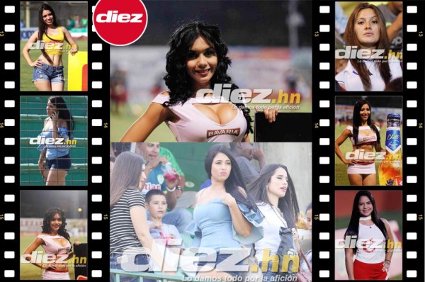 ¡HERMOSAS! Las bellas damas que engalan en los estadios de Liga Nacional