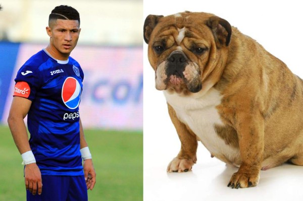 Los curiosos y novedosos apodos de los jugadores del Motagua y Honduras Progreso