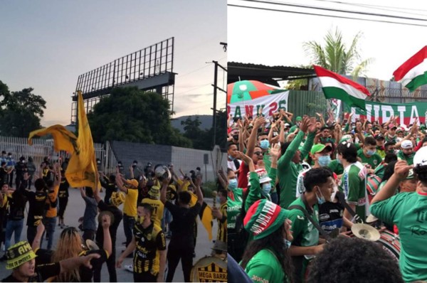 Barra del Olimpia está superando a la de Motagua, Real España y Marathón las votaciones de Premios DIEZ