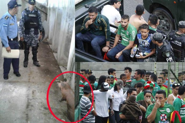 Las extrañas cosas que se han visto en juegos de Liga Nacional de Honduras