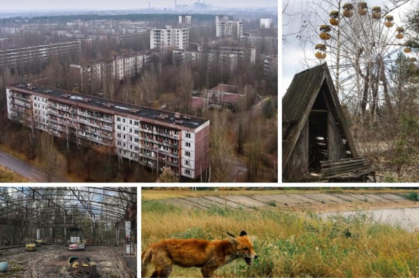 Así luce Chernobyl en la actualidad tras el desastre nuclear en 1986&nbsp;&nbsp;