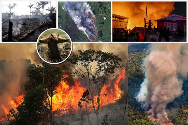 Las imágenes del terrible incendio que devora el Amazonas, el pulmón del mundo