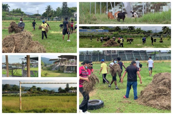 Jugadores del Tela FC dejan el balón a un lado y comienzan a limpiar el estadio Alfredo León Gómez