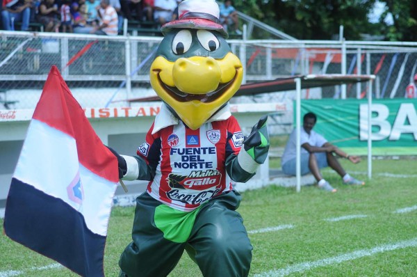 ¿Cuál te gusta más? Estas son las mascotas de los clubes de Centroamérica