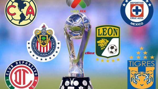 Desde la época profesional, que inicia en la campaña 1943-44, la Liga MX ha visto a poco más de una veintena de equipos coronados como campeones del torneo liguero. Aquí te presentamos a los 10 clubes que más campeonatos han ganado en la historia del fútbol mexicano.