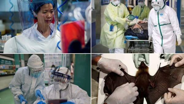 Una famosa viróloga china asegura que se dio cuenta del nuevo COVID-19 hace un año, pero fue silenciada por el gobierno. La especialista aclara de dónde proviene el virus.