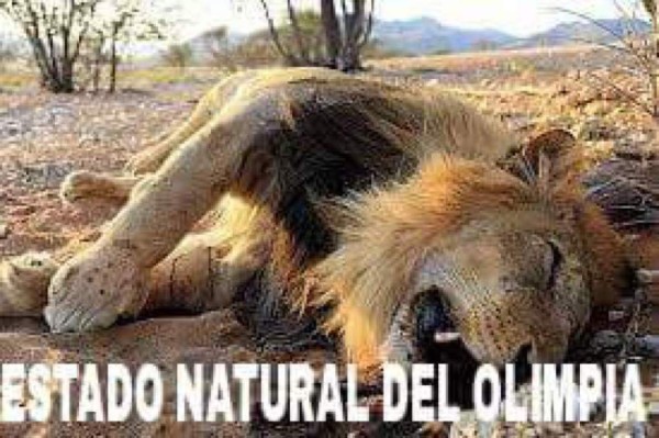 Los crueles memes contra el Olimpia luego de caer ante Marathón