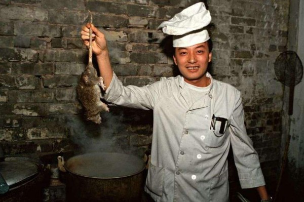 Las enormes ratas que China tenía preparadas como plato gourmet antes del coronavirus