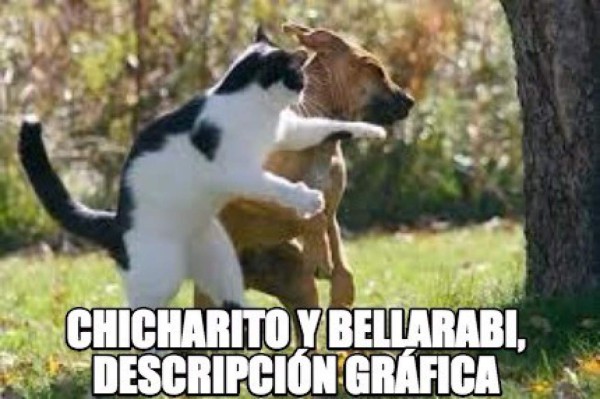 El Barcelona, Messi, Chicharito y Mou se roban el show con los memes