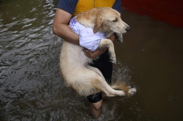 Impactantes imágenes de la tormenta que arrasó en El Salvador y dejó pérdidas humanas
