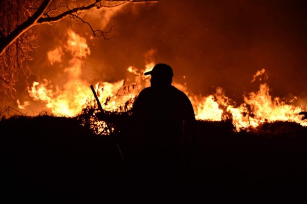 ¡Impactante! Incontrolable incendio destruye decenas de hectáreas de pino en El Hatillo