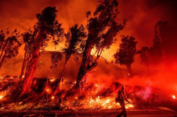 Hasta tornados de fuego: Las imágenes apocalípticas de los incendios históricos en California