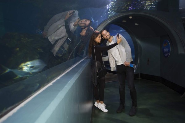 Las fotos más curiosas de la primera semana del Abierto de Australia