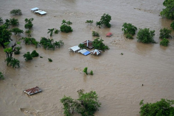 Impactante: El dramático rescate de hondureños que estaban en un árbol tras el paso de Iota
