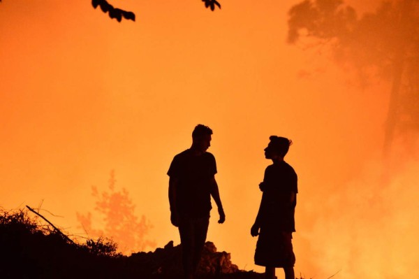 ¡Impactante! Incontrolable incendio destruye decenas de hectáreas de pino en El Hatillo
