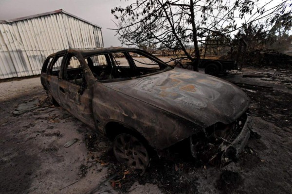 Apocalípticas fotos del brutal incendio en Australia; casi medio millón de animales han muerto