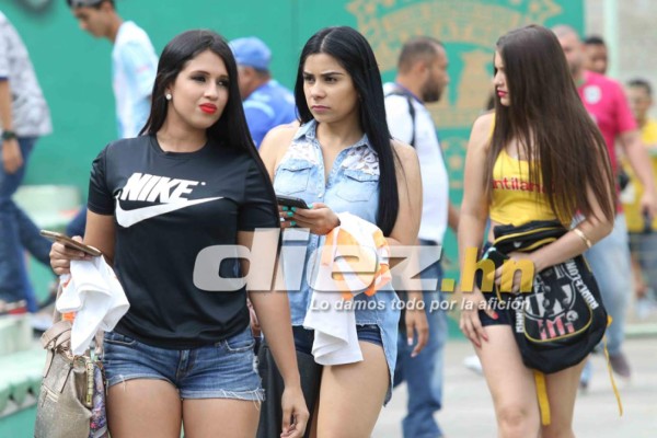 Las hermosuras que engalanaron el clásico Marathón-Motagua