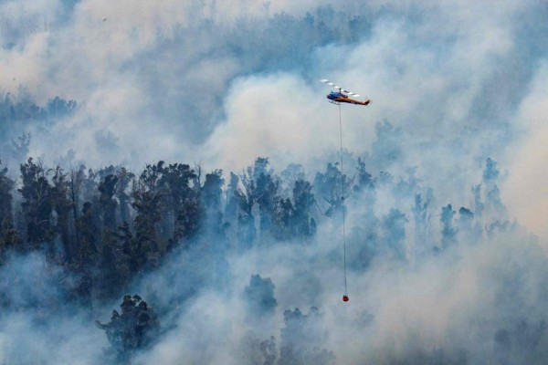 Apocalípticas fotos del brutal incendio en Australia; casi medio millón de animales han muerto