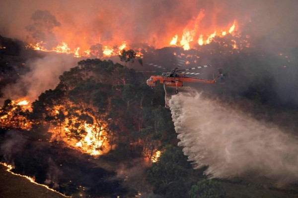 Apocalípticas fotos del brutal incendio en Australia; casi medio millón de animales han muerto