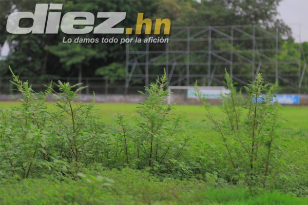 Estadio Yankel Rosenthal en el olvido y el descuido