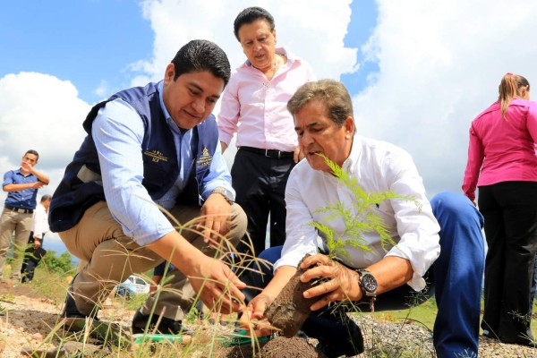El año de Jorge Luis Pinto al frente de la Selección de Honduras