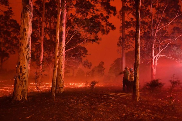 Apocalípticas fotos del brutal incendio en Australia; casi medio millón de animales han muerto