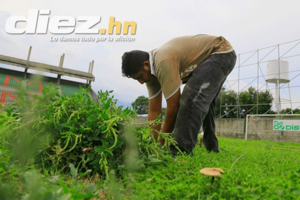 Estadio Yankel Rosenthal en el olvido y el descuido