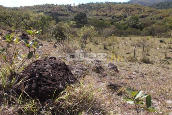 El sueño que Rafael Ferrari no pudo cumplir con el Olimpia