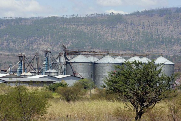 Los lugares que Motagua y Olimpia están considerando para construir su propio estadio