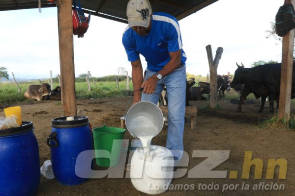 Así es la vida del portero Donis Escober entre ganado en su pueblo natal