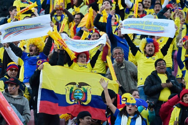 Aficionados le ponen sabor en la Copa América 2015