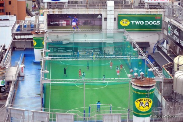 ¡Sorprendentes! Estos son los estadios más raros en todo el mundo