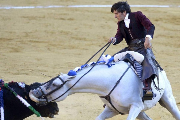 Estas son las fotos más curiosas del deporte en los últimos años