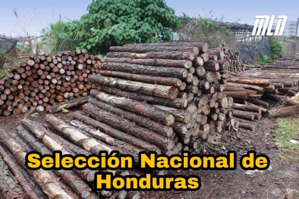 Maynor Figueroa y Fabián Coito son protagonistas de los memes tras la dura derrota de Honduras ante Panamá