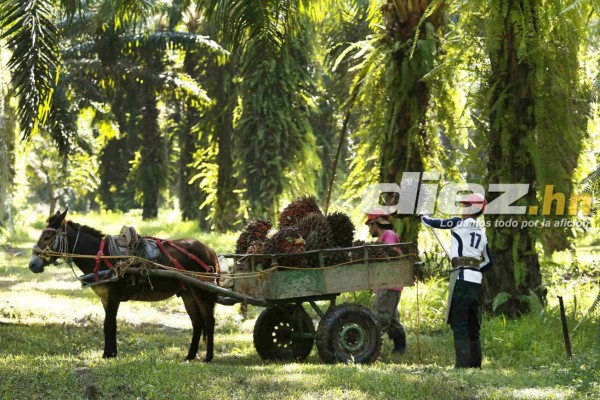 EN FOTOS: Así es la nueva vida de Juan Carlos Acevedo, ex jugador del Real España