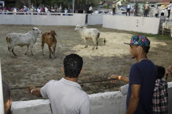 Las mejores imágenes de la tarde de jaripeo de Mario Berrios y Diego Reyes en Mezapa