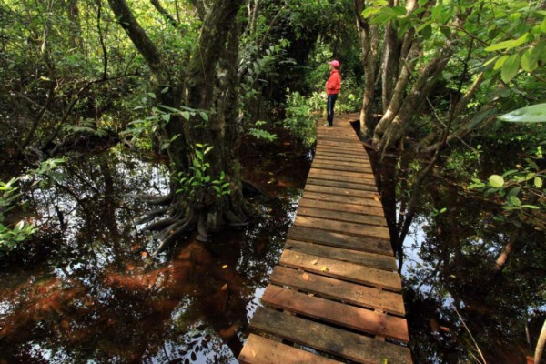 25 hermosos lugares turísticos que puede visitar en el Feriado Morazánico en Honduras