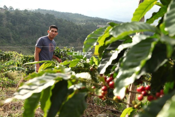 Entre repuestos, café y vacas, Irvin Reyna se olvida del fútbol en Siguatepeque