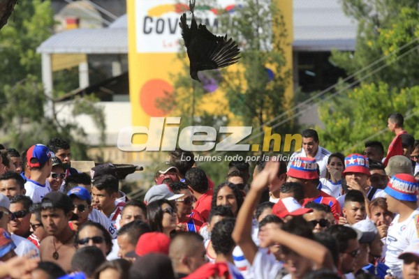 Llantos, algarabía, violencia y heridos; lo que no se vio de las semifinales en Honduras