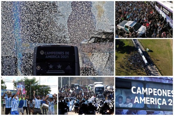Regreso con gloria: la Albiceleste campeona de América llegó a Argentina tras coronarse en Brasil
