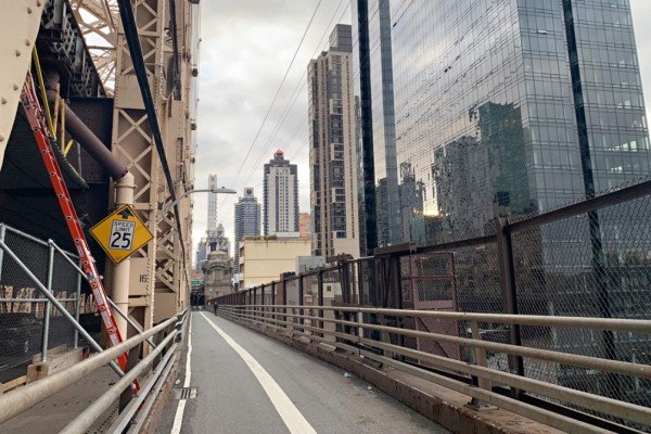Calles desoladas y animales en las calles: Las postales que deja el coronavirus en el mundo