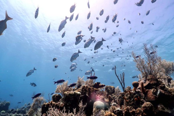 ¡Espectacular! Así disfruta del verano 2019 Sebastián Urrutia, preparador físico de Honduras