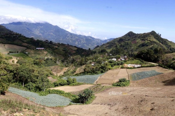 Las tristes imágenes de un trayecto de la muerte donde fallecieron cuatro jugadores amateurs en Honduras